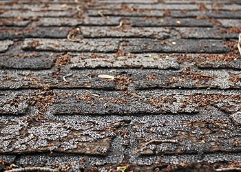 old decaying shingles